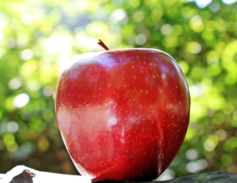 Fresh Organic Produce